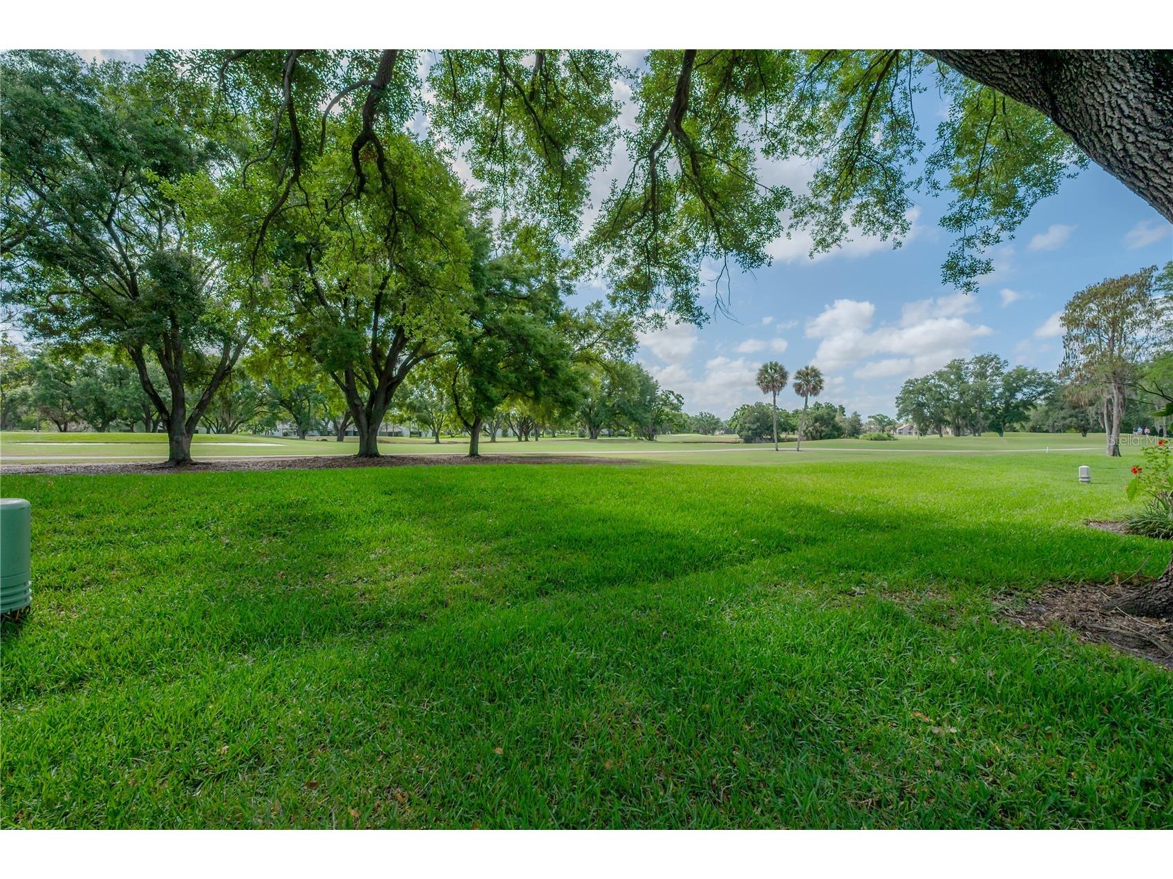 4206 Golf Club Lane Tampa FL 33618 TB8493955 image1