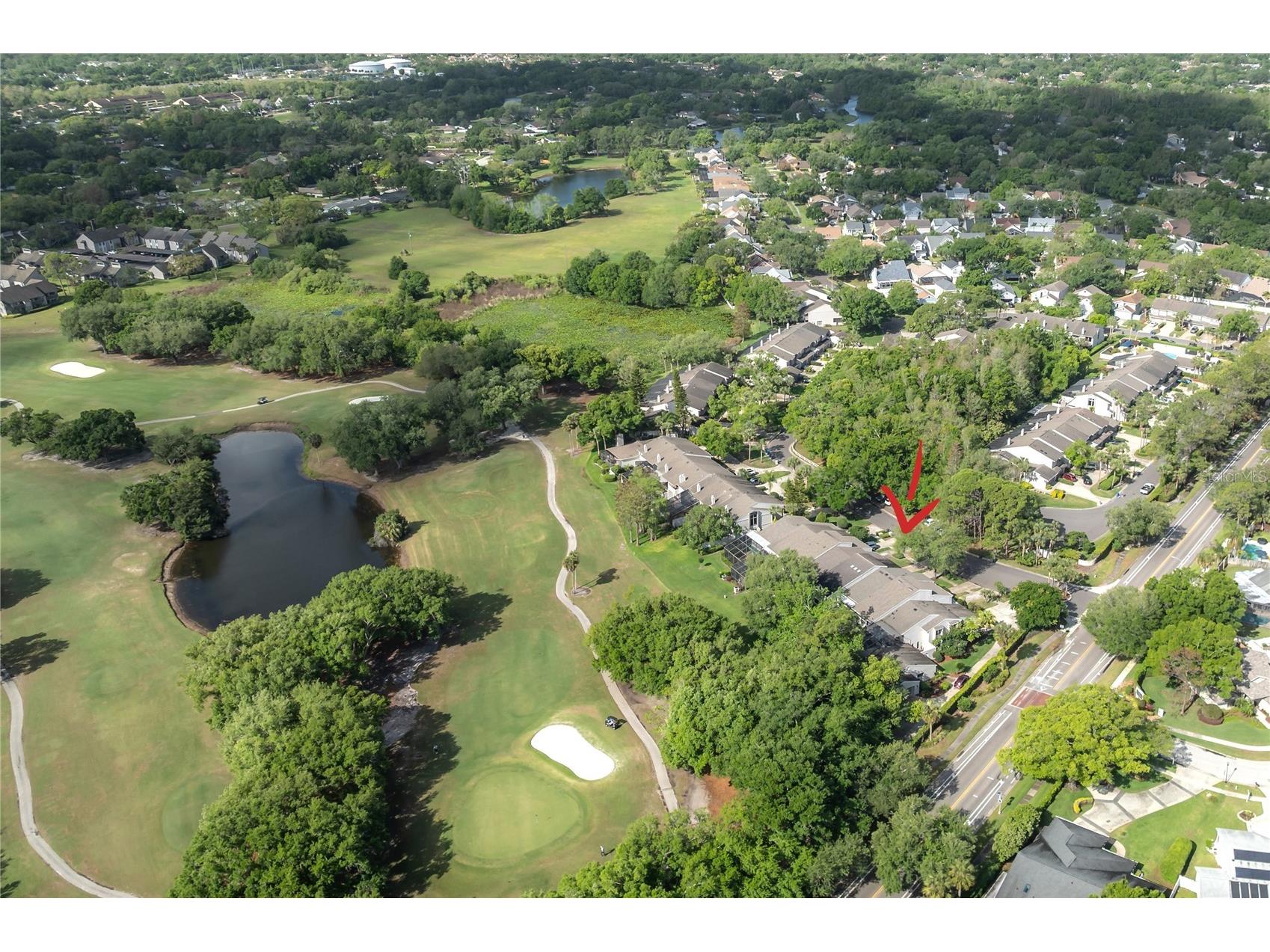 4206 Golf Club Lane Tampa FL 33618 TB8493955 image4
