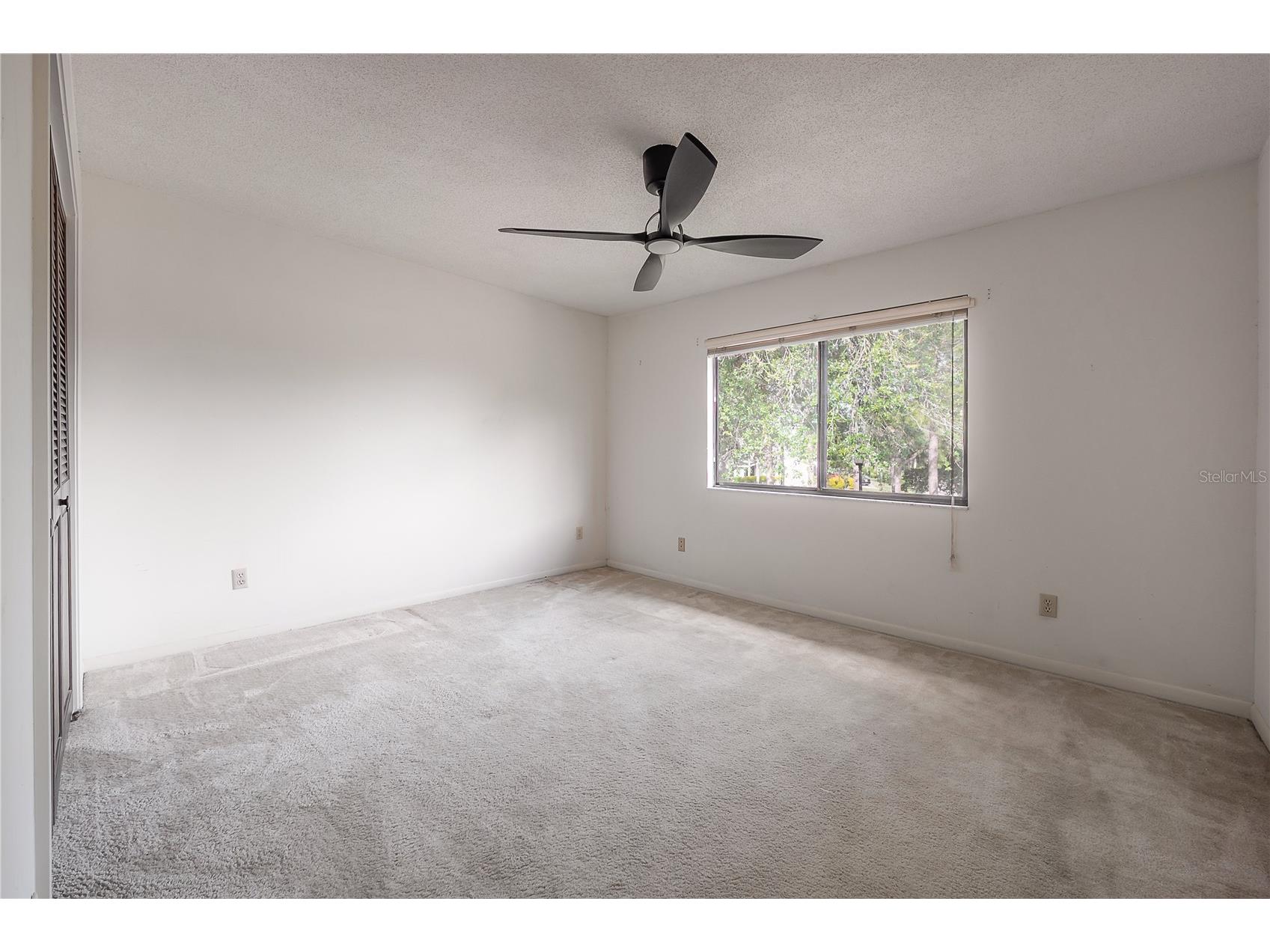 4206 Golf Club Lane Tampa FL 33618 TB8493955 image43