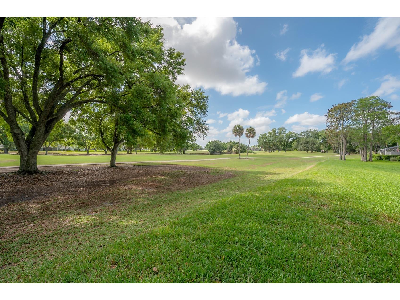 4206 Golf Club Lane Tampa FL 33618 TB8493955 image49