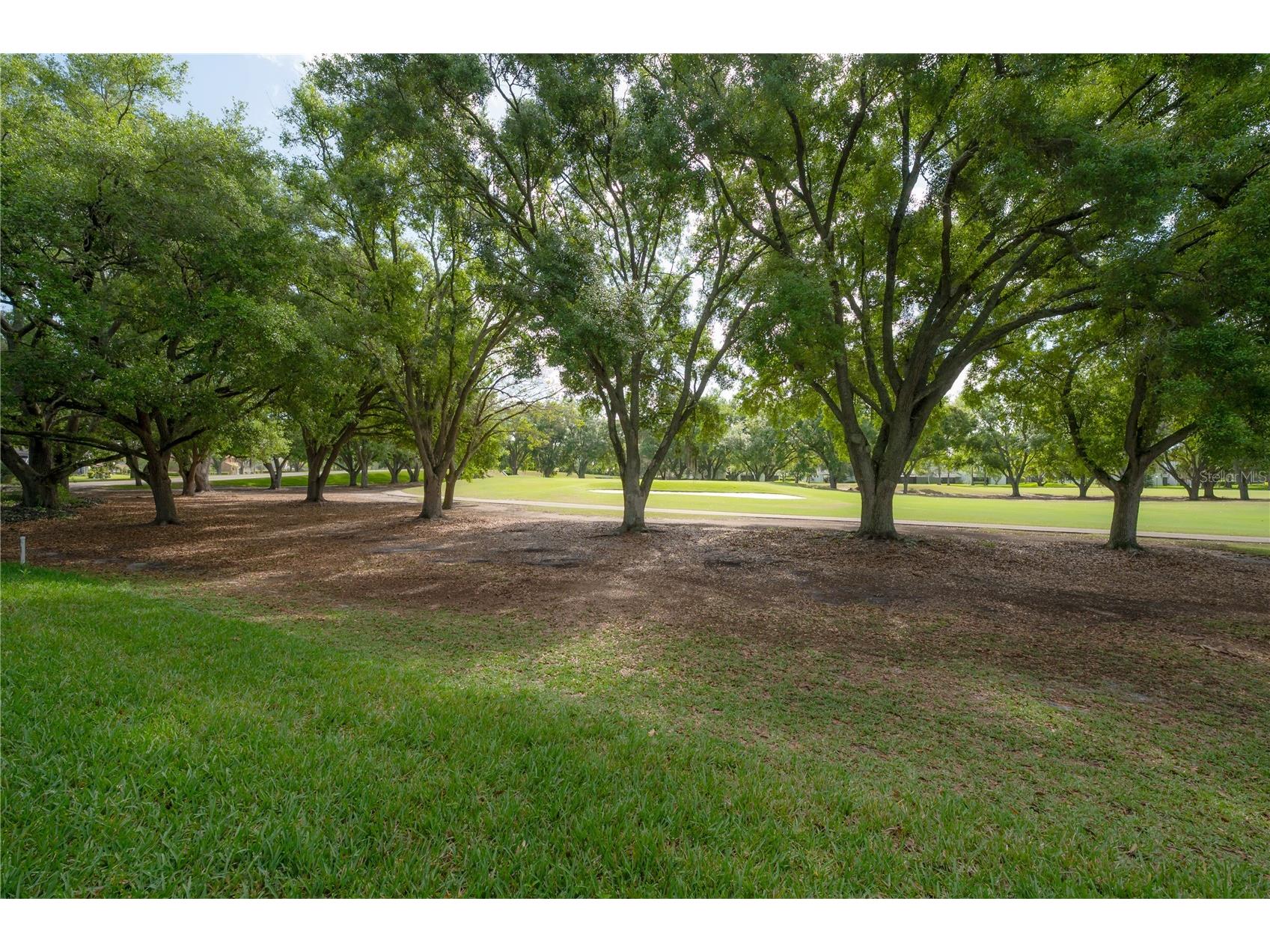 4206 Golf Club Lane Tampa FL 33618 TB8493955 image50