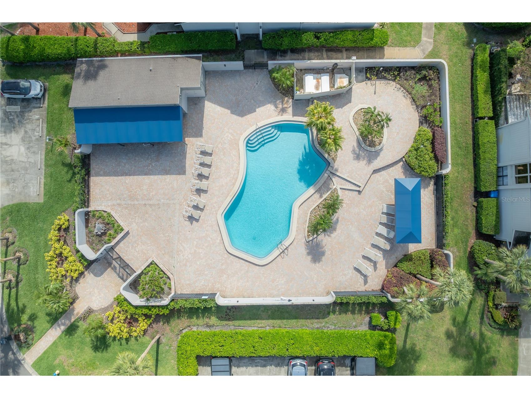 4206 Golf Club Lane Tampa FL 33618 TB8493955 image53