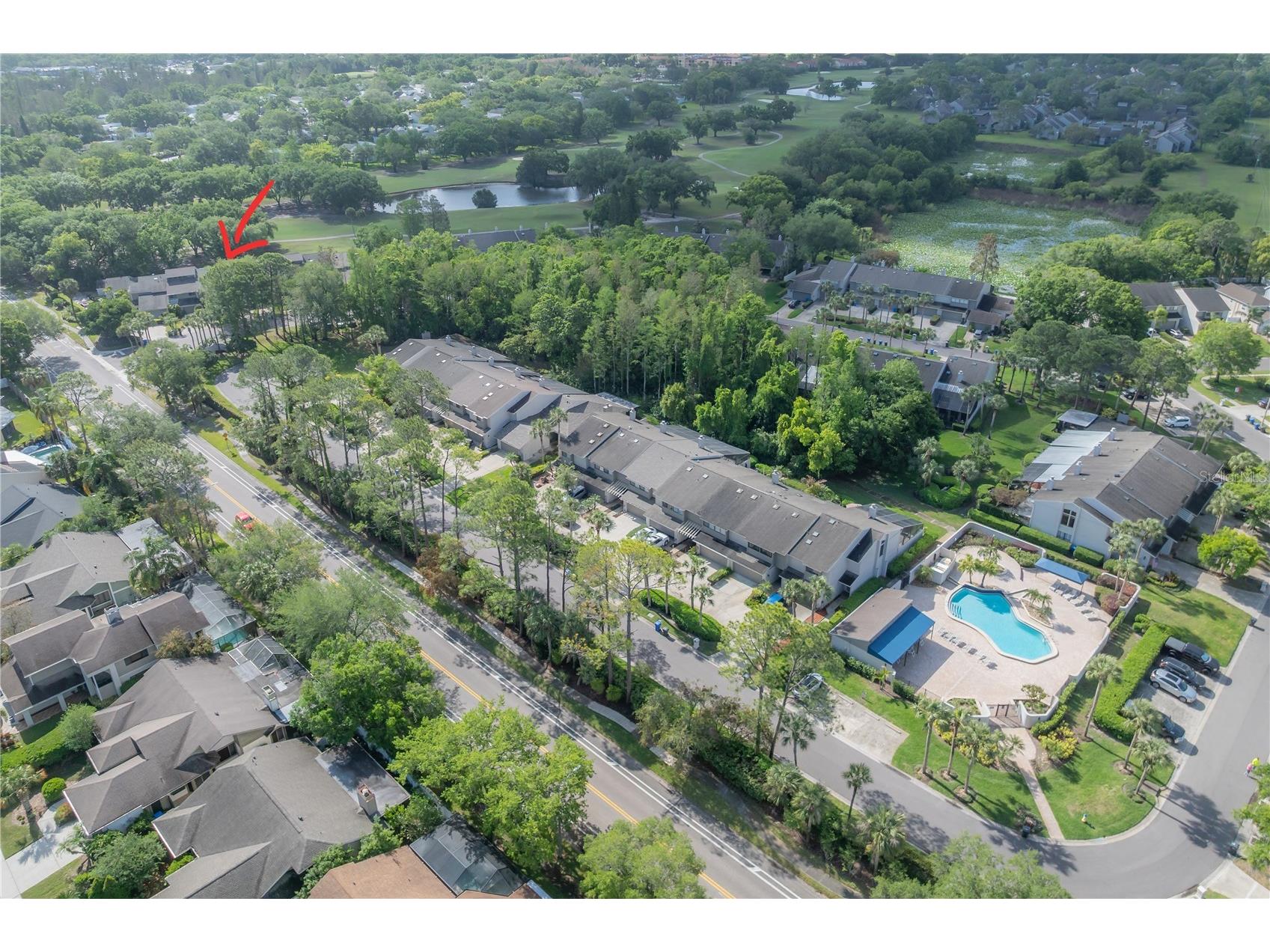 4206 Golf Club Lane Tampa FL 33618 TB8493955 image57