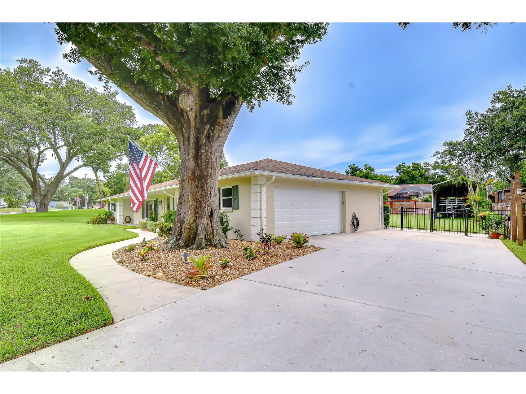 4206 Helene Place Valrico FL 33594 TB8517703 image39