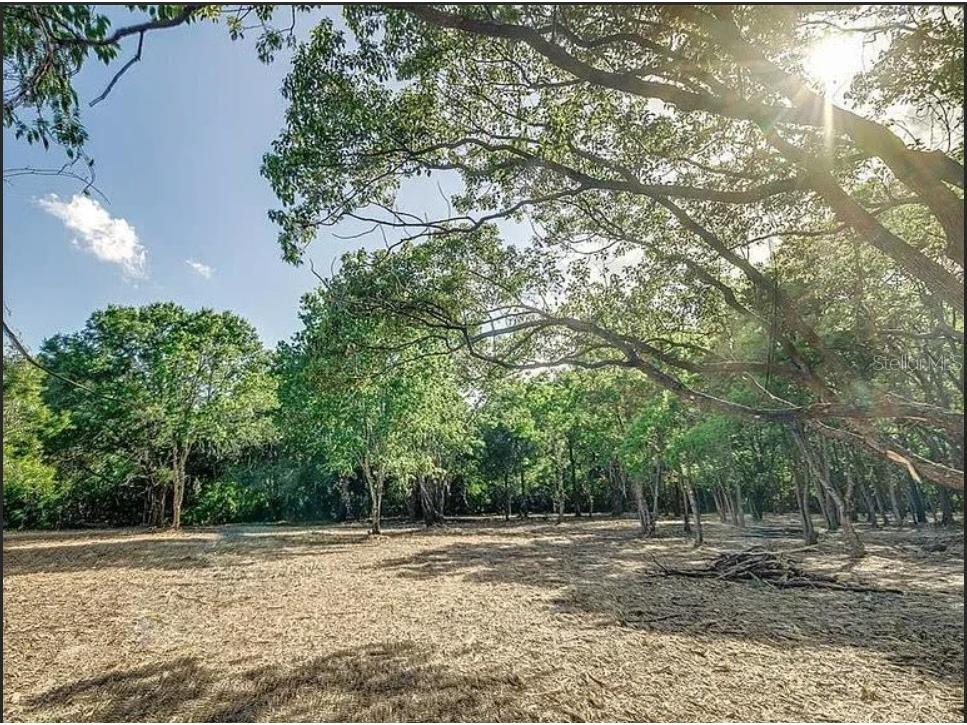 4206 Knights Station Road Lakeland FL 33810 TB8362338 image4