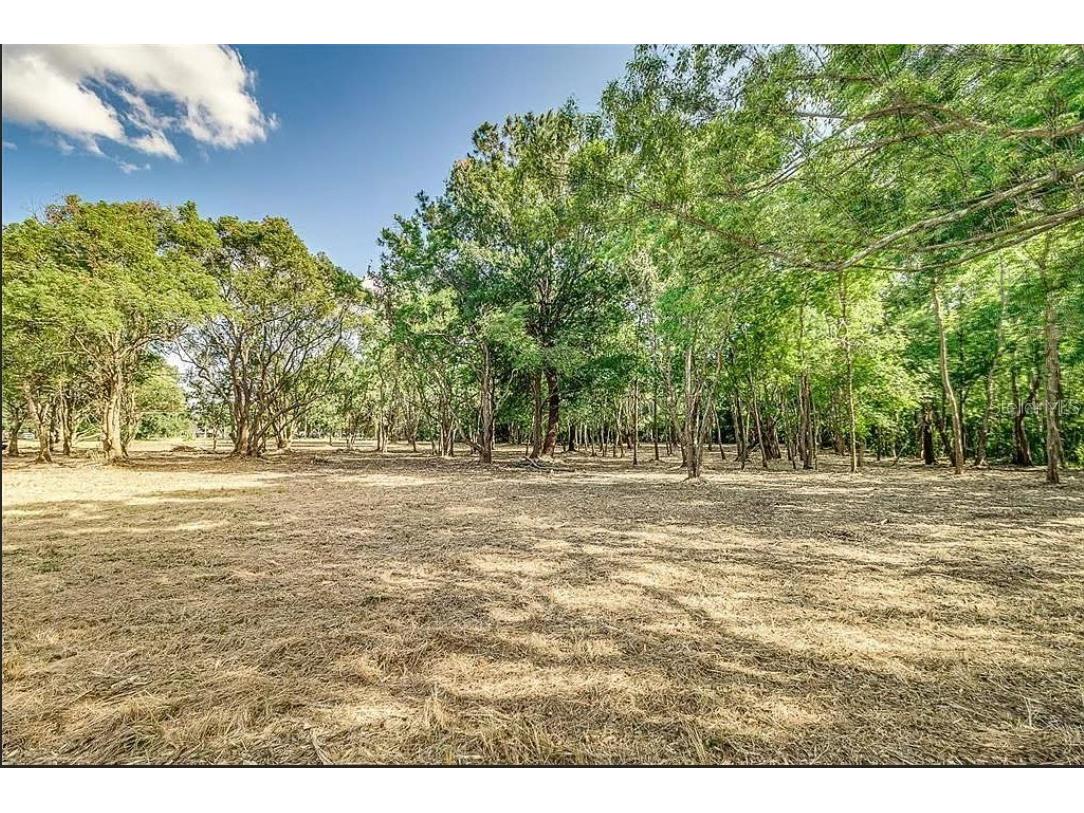 4206 Knights Station Road Lakeland FL 33810 TB8362338 image5