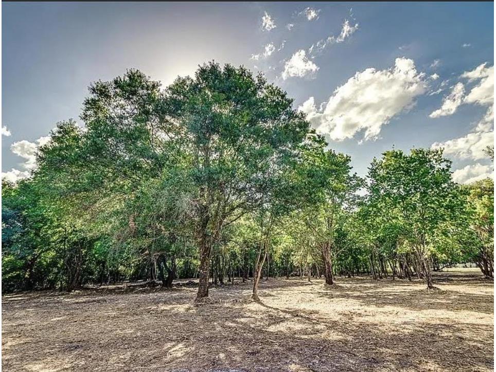 4206 Knights Station Road Lakeland FL 33810 TB8362338 image7