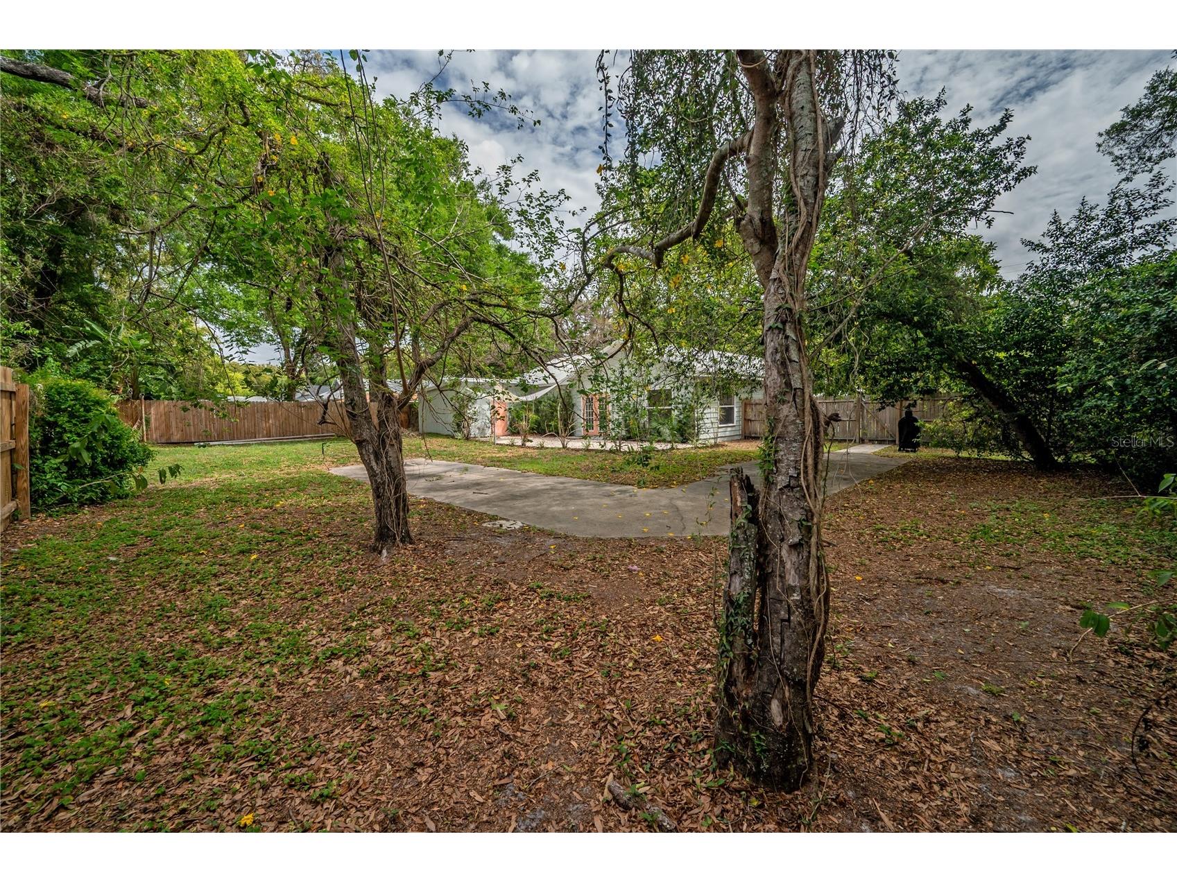 4206 N Downing Avenue Tampa FL 33603 TB8492376 image35