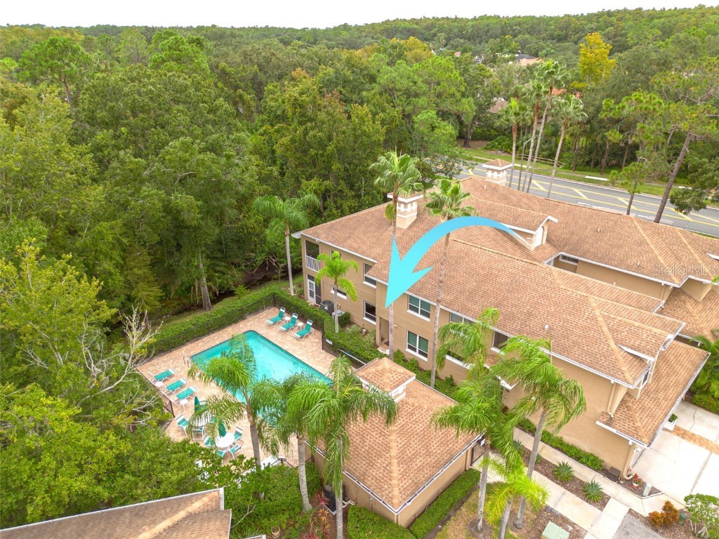 4206 Preserve Place Palm Harbor FL 34685 TB8365401 image2