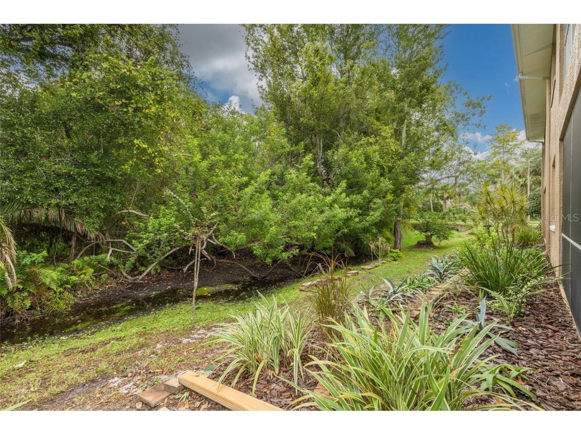 4206 Preserve Place Palm Harbor FL 34685 TB8365401 image26