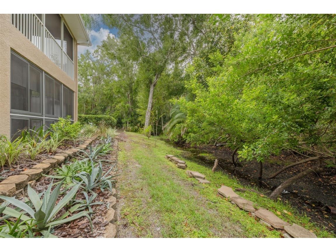 4206 Preserve Place Palm Harbor FL 34685 TB8365401 image27