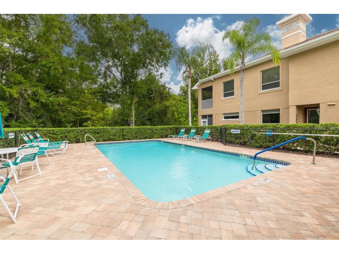 4206 Preserve Place Palm Harbor FL 34685 TB8365401 image31