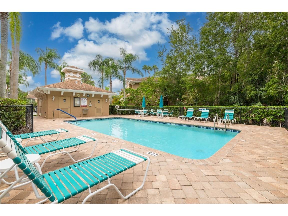 4206 Preserve Place Palm Harbor FL 34685 TB8365401 image33