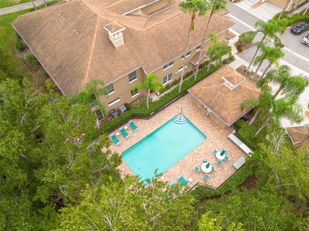 4206 Preserve Place Palm Harbor FL 34685 TB8365401 image34