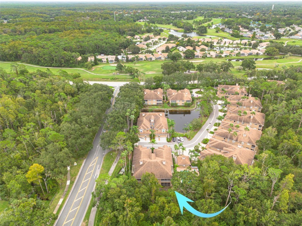 4206 Preserve Place Palm Harbor FL 34685 TB8365401 image35