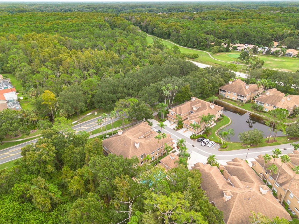 4206 Preserve Place Palm Harbor FL 34685 TB8365401 image36