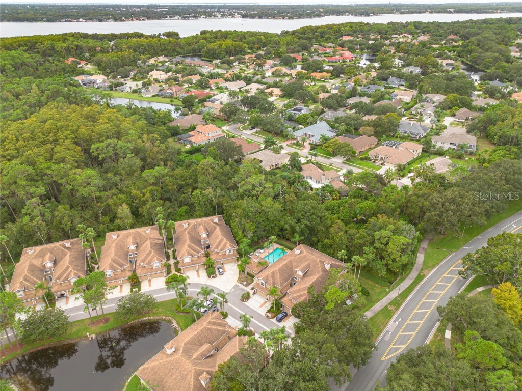 4206 Preserve Place Palm Harbor FL 34685 TB8365401 image38