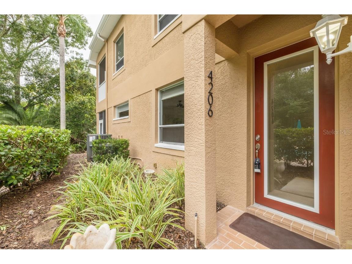 4206 Preserve Place Palm Harbor FL 34685 TB8365401 image4