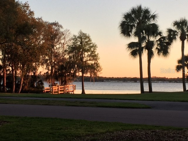 4206 Preserve Place Palm Harbor FL 34685 TB8365401 image40