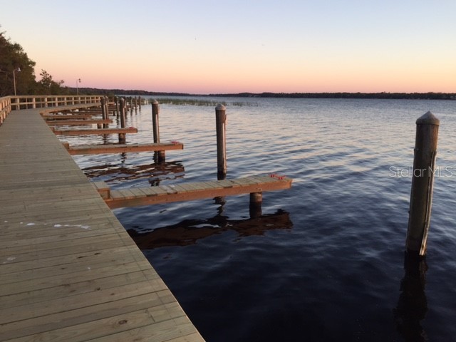 4206 Preserve Place Palm Harbor FL 34685 TB8365401 image41