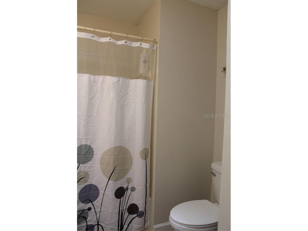 4206 Revere Circle New Port Richey FL 34653 TB8396624 image15