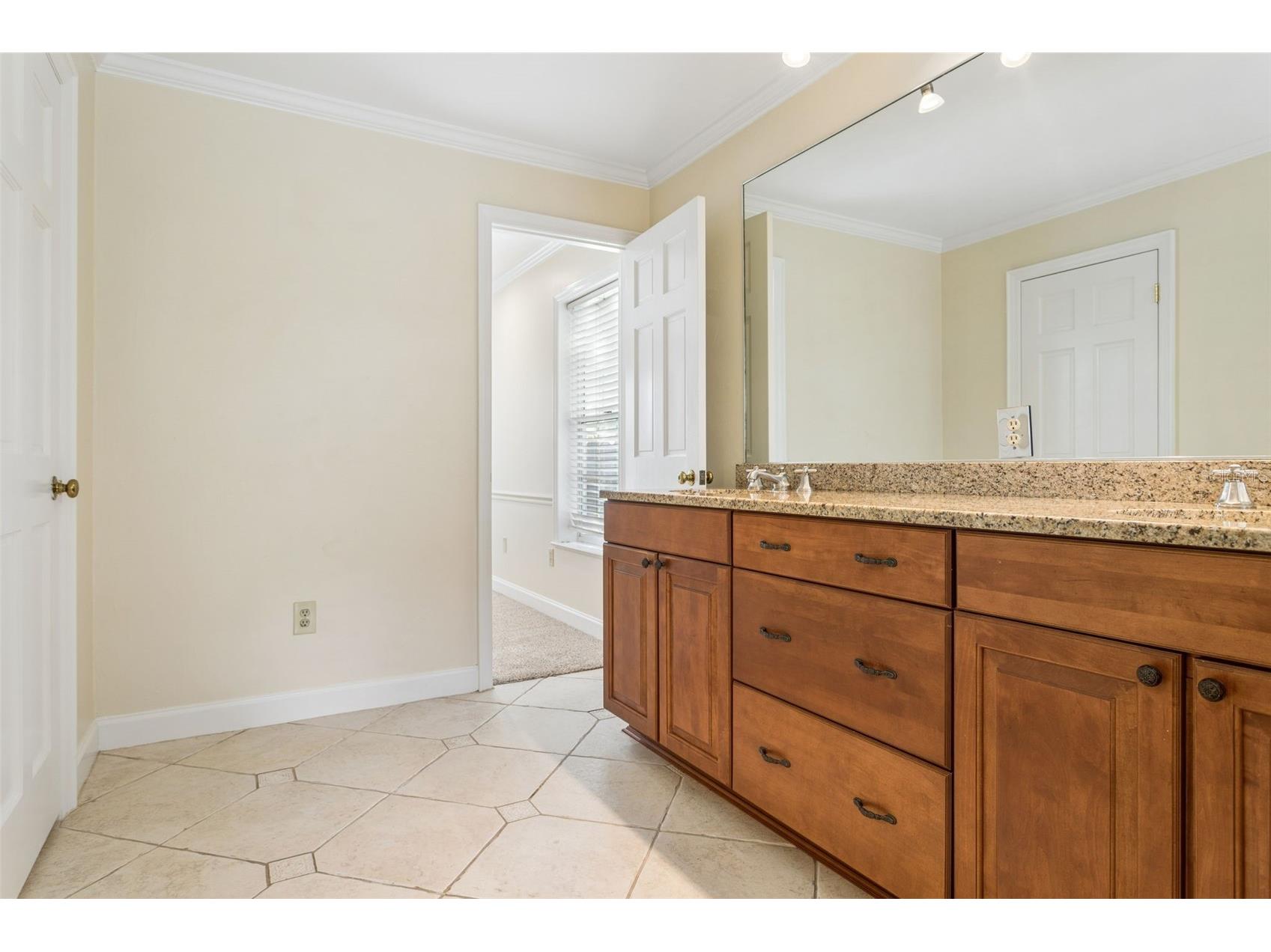 4206 W Obispo Street Tampa FL 33629 TB8495242 image19