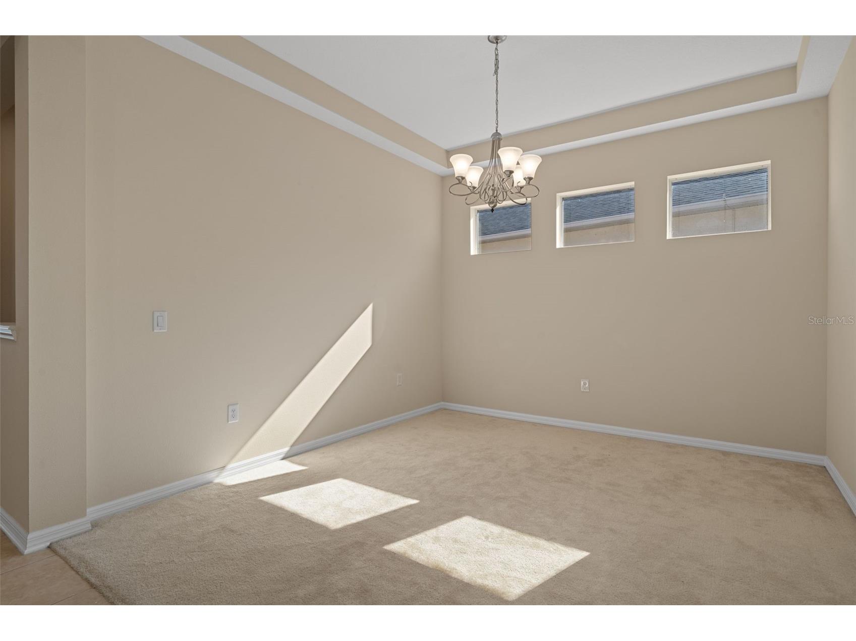 4206 Windcrest Drive Wesley Chapel FL 33544 TB8480583 image14