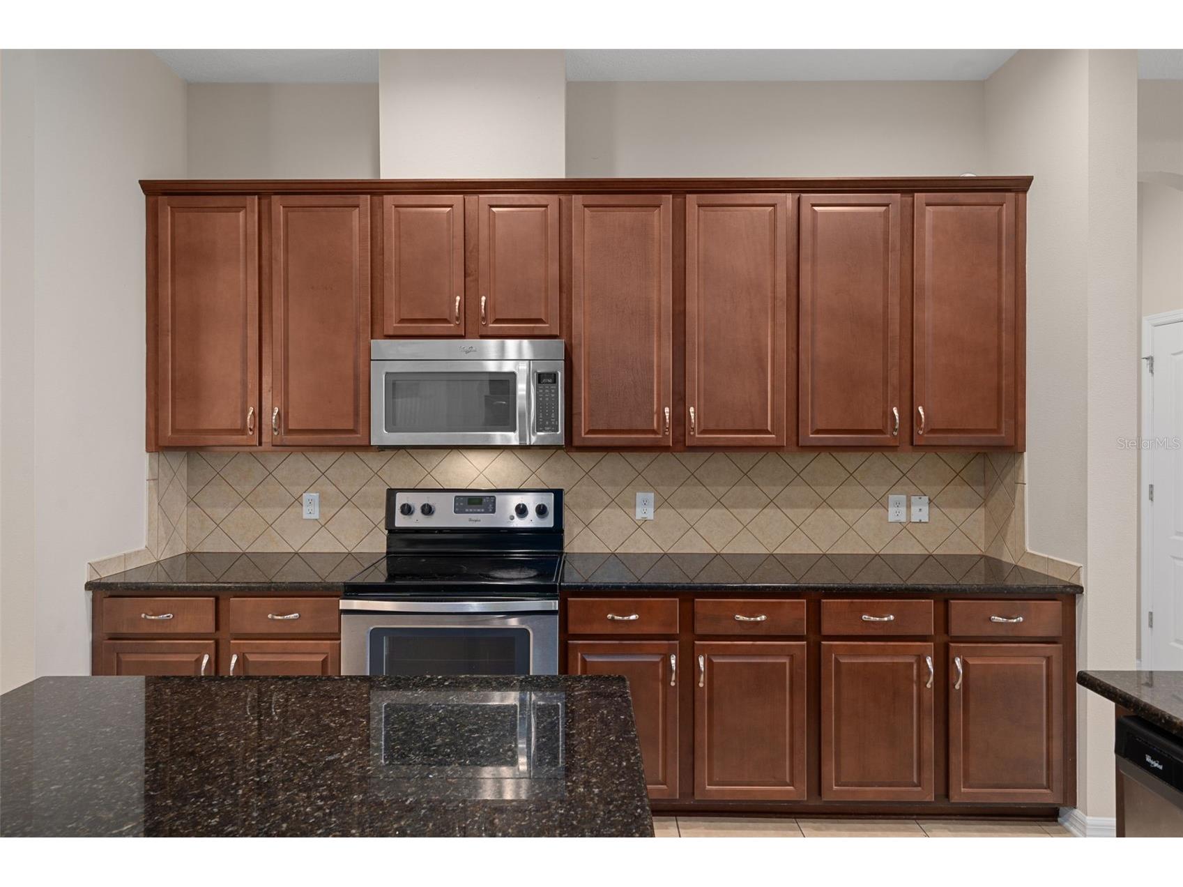 4206 Windcrest Drive Wesley Chapel FL 33544 TB8480583 image27