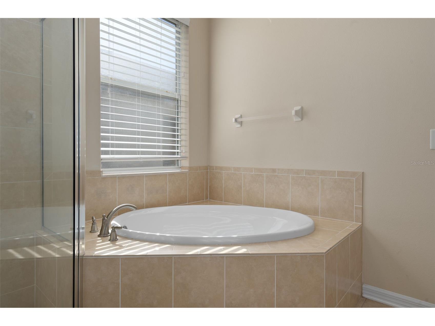 4206 Windcrest Drive Wesley Chapel FL 33544 TB8480583 image38
