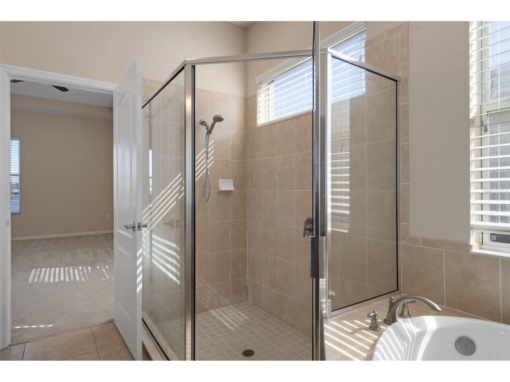 4206 Windcrest Drive Wesley Chapel FL 33544 TB8480583 image39