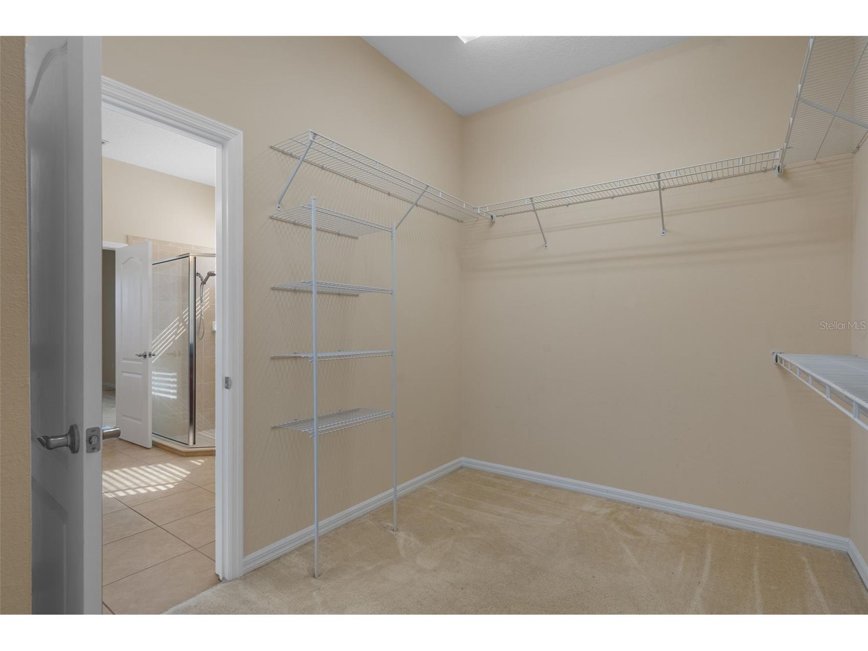 4206 Windcrest Drive Wesley Chapel FL 33544 TB8480583 image41