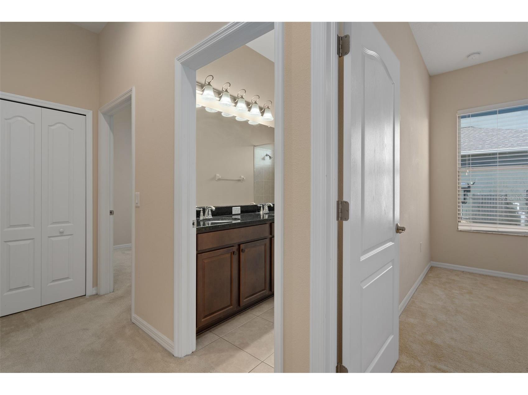 4206 Windcrest Drive Wesley Chapel FL 33544 TB8480583 image47