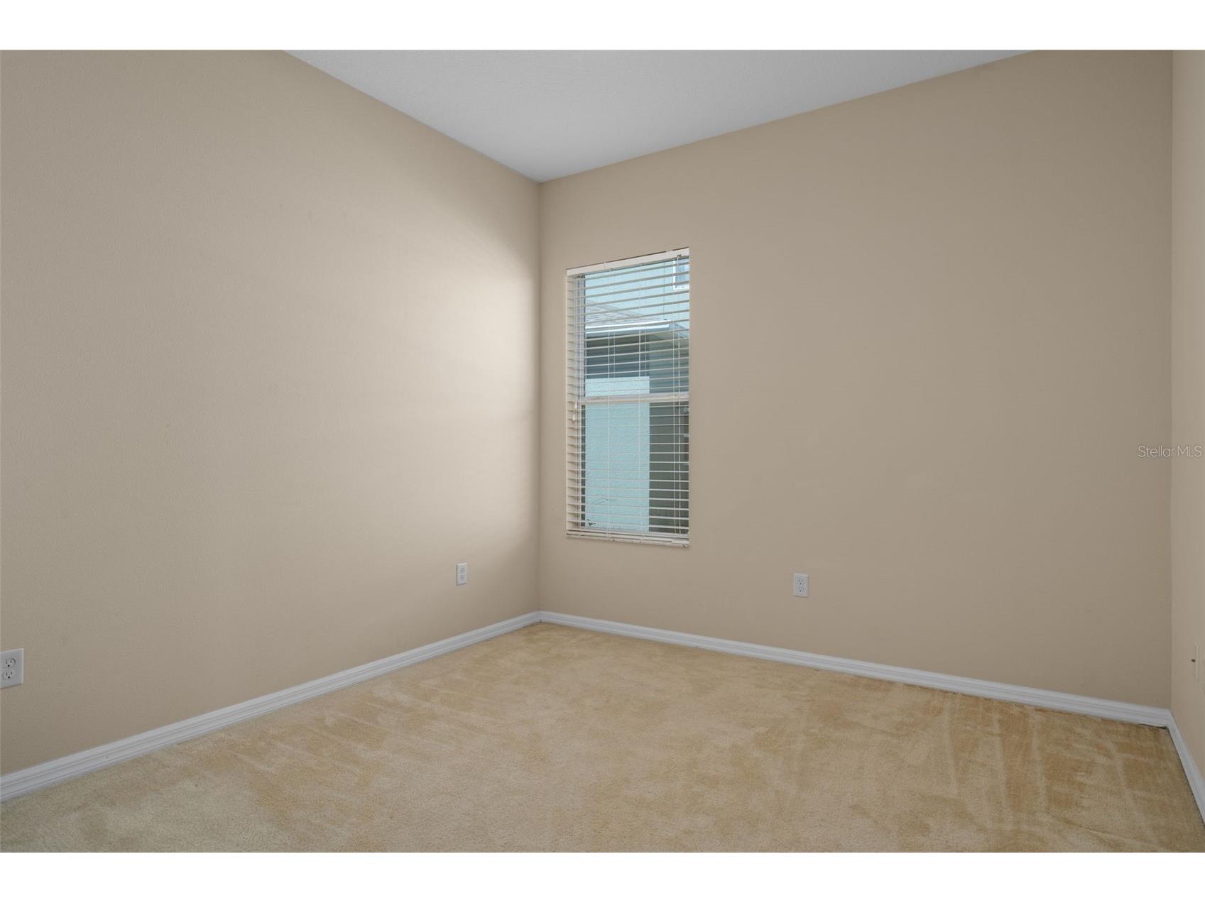 4206 Windcrest Drive Wesley Chapel FL 33544 TB8480583 image51