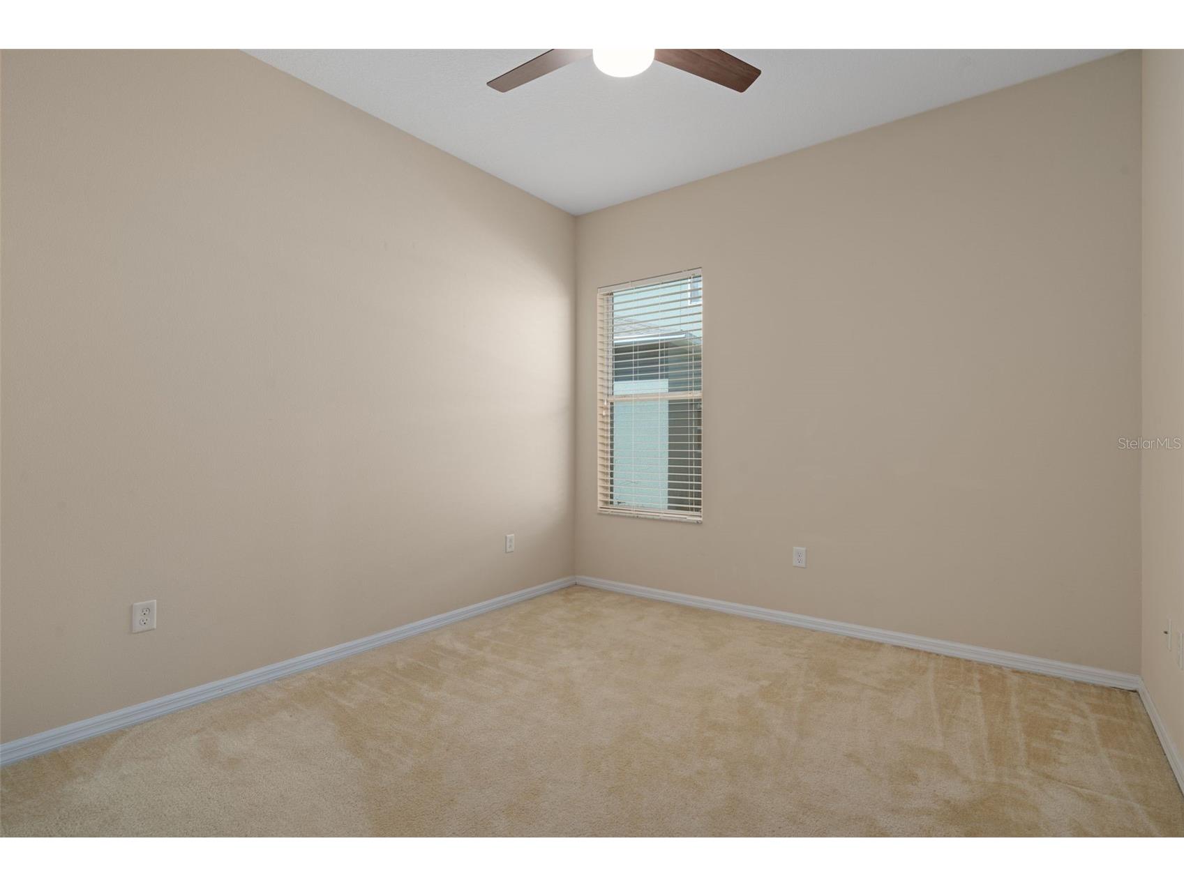 4206 Windcrest Drive Wesley Chapel FL 33544 TB8480583 image53