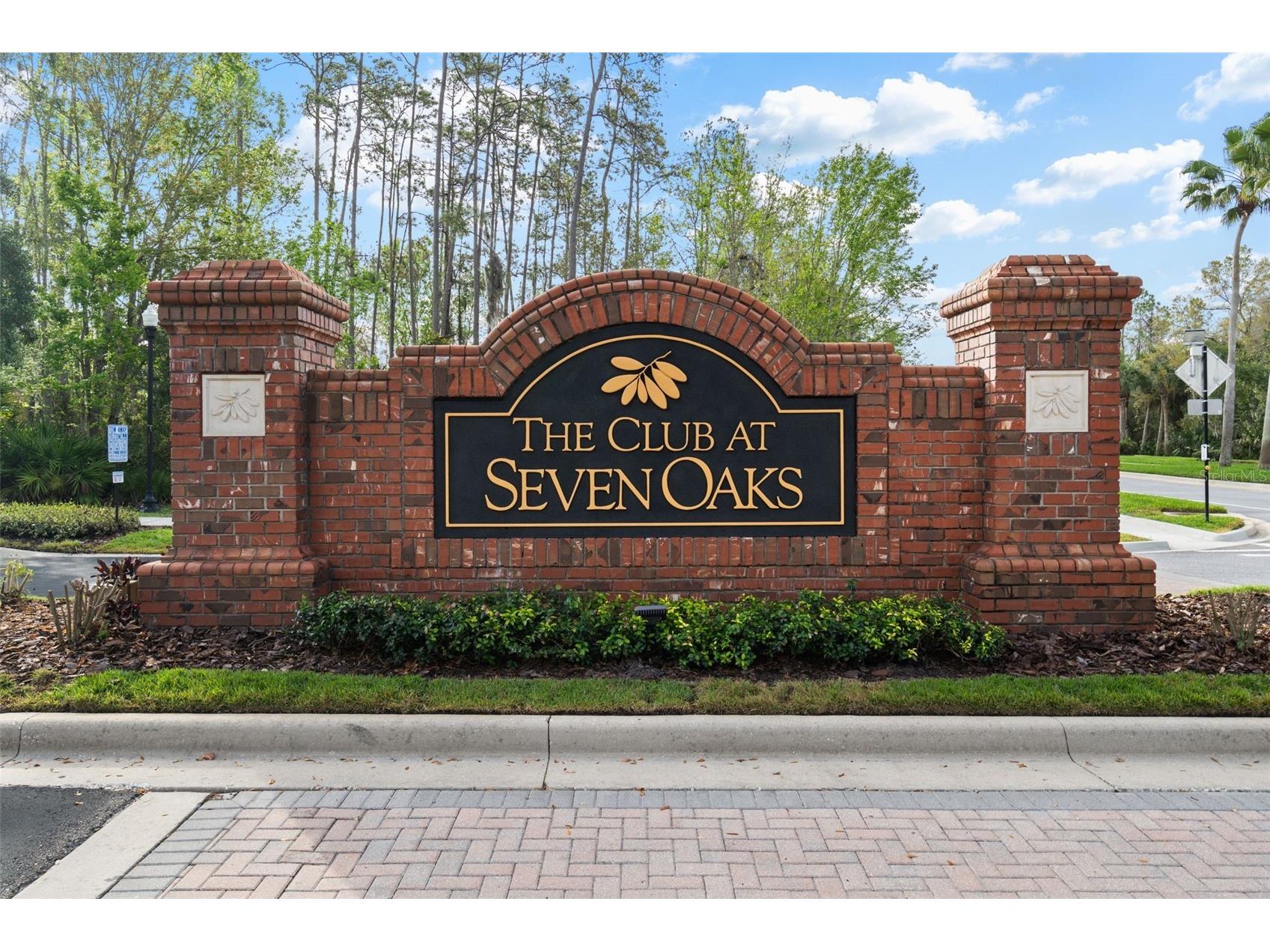 4206 Windcrest Drive Wesley Chapel FL 33544 TB8480583 image67
