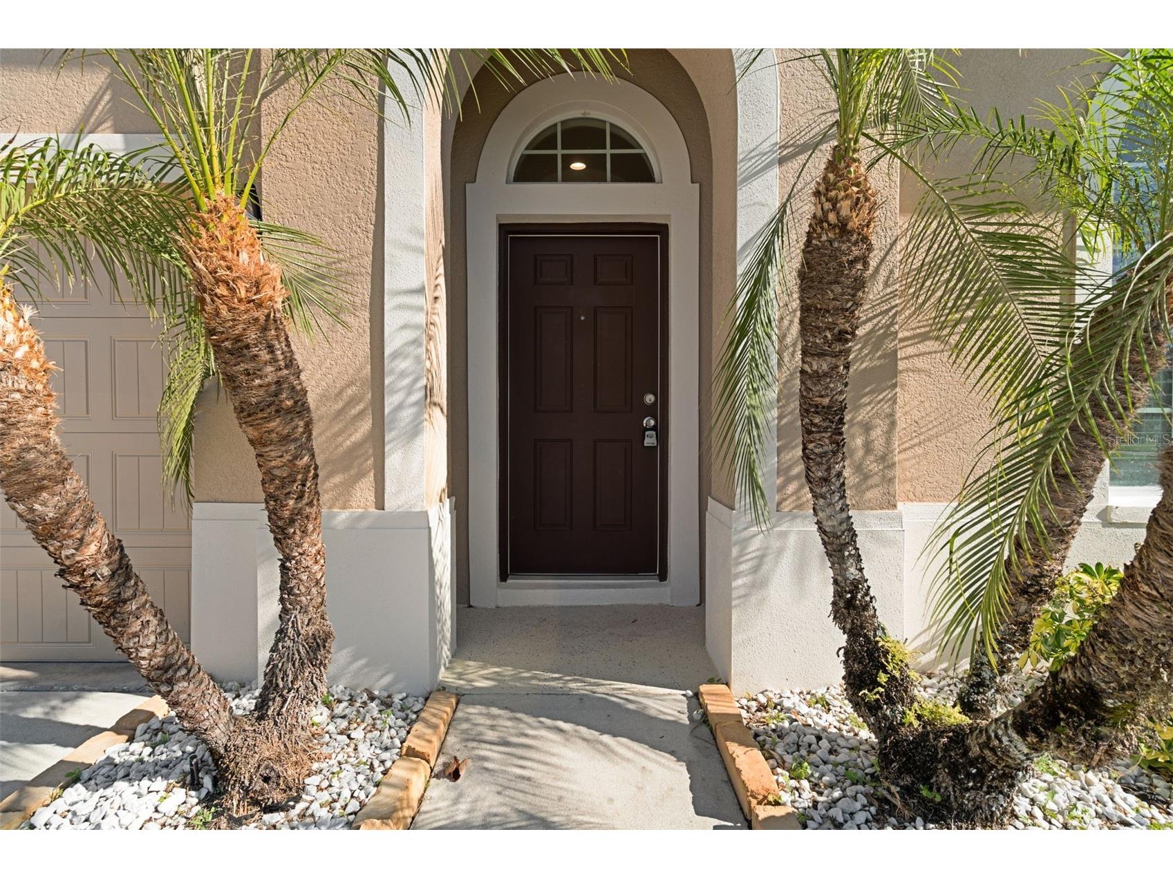 4206 Windcrest Drive Wesley Chapel FL 33544 TB8480583 image8
