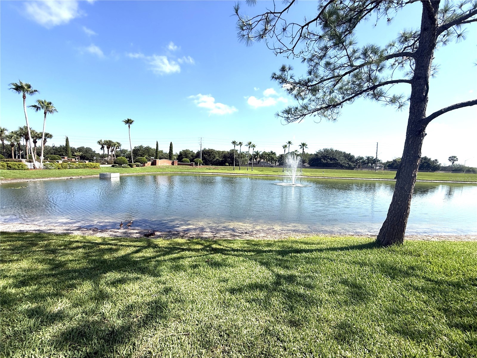 4207 Andover Cay Boulevard Orlando FL 32825 O6423633 image33