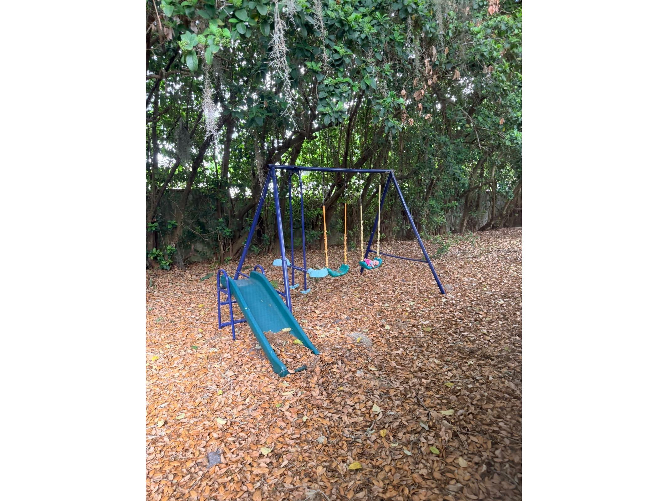 4207 Arbor Oaks Court Orlando FL 32808 O6400232 image11