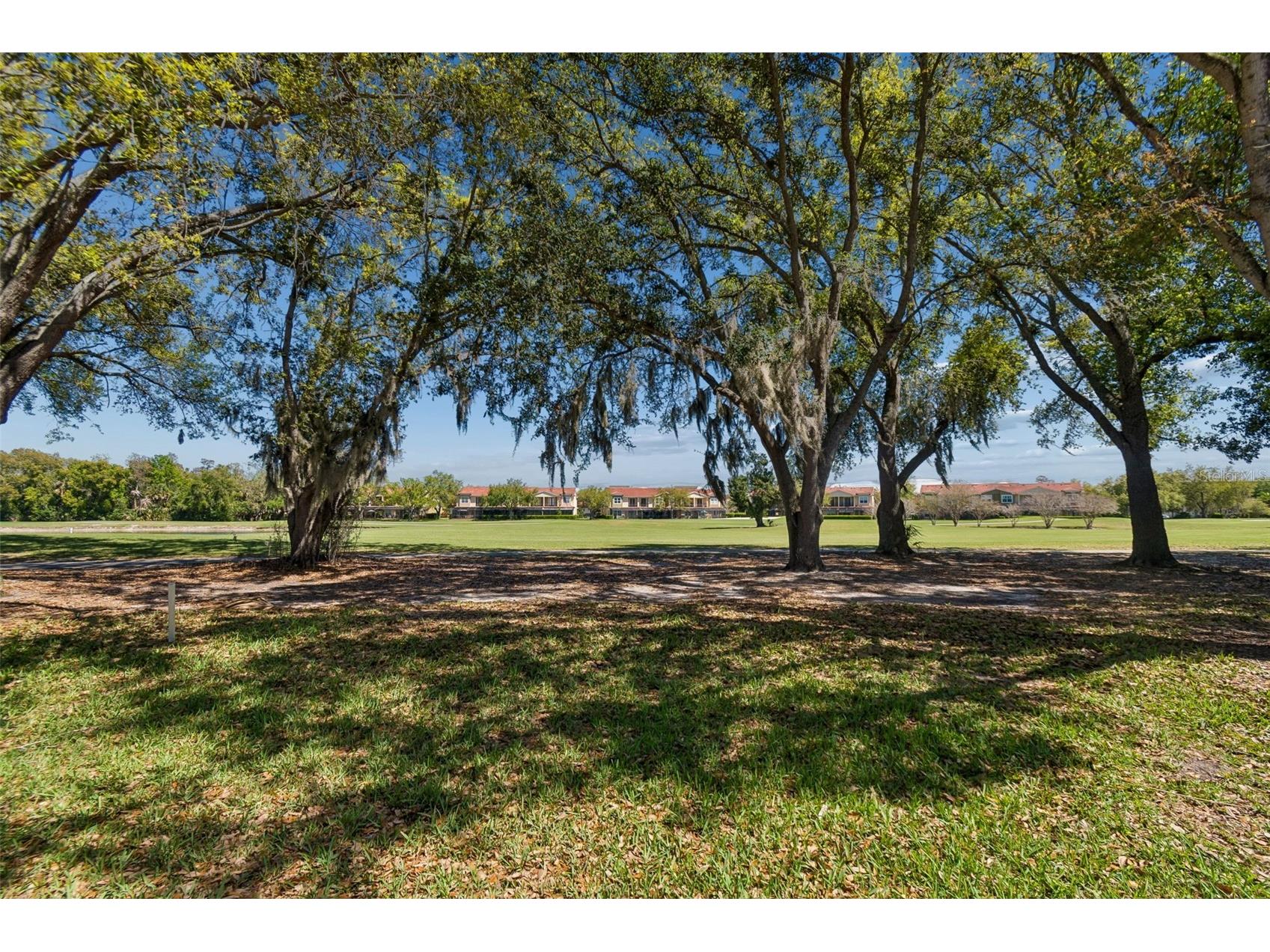 4207 Arborwood Lane Tampa FL 33618 TB8460114 image19