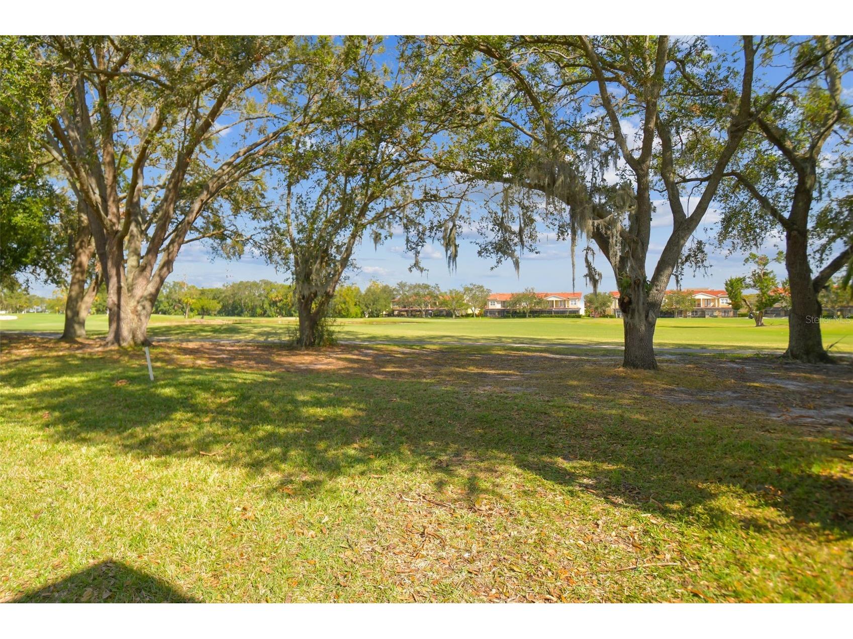 4207 Arborwood Lane Tampa FL 33618 TB8460114 image66