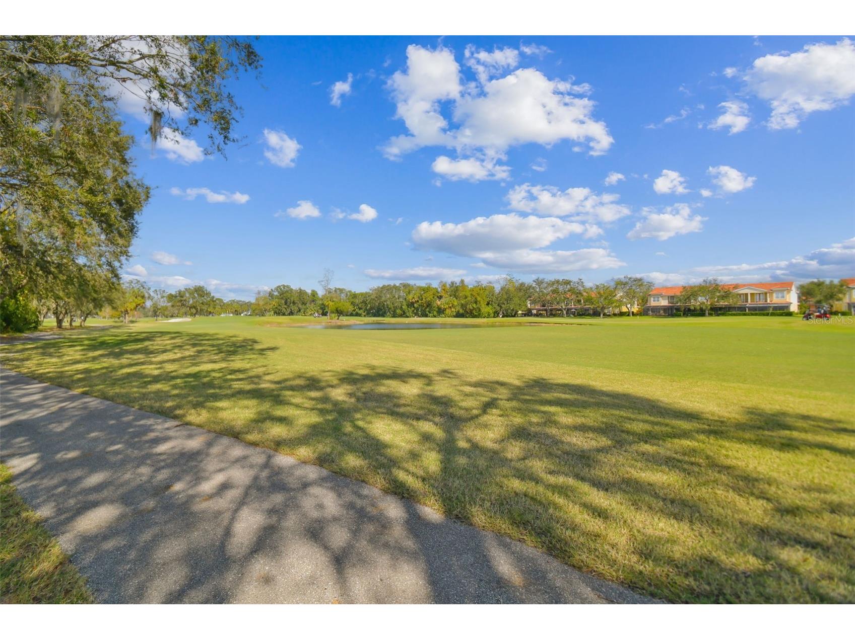 4207 Arborwood Lane Tampa FL 33618 TB8460114 image68