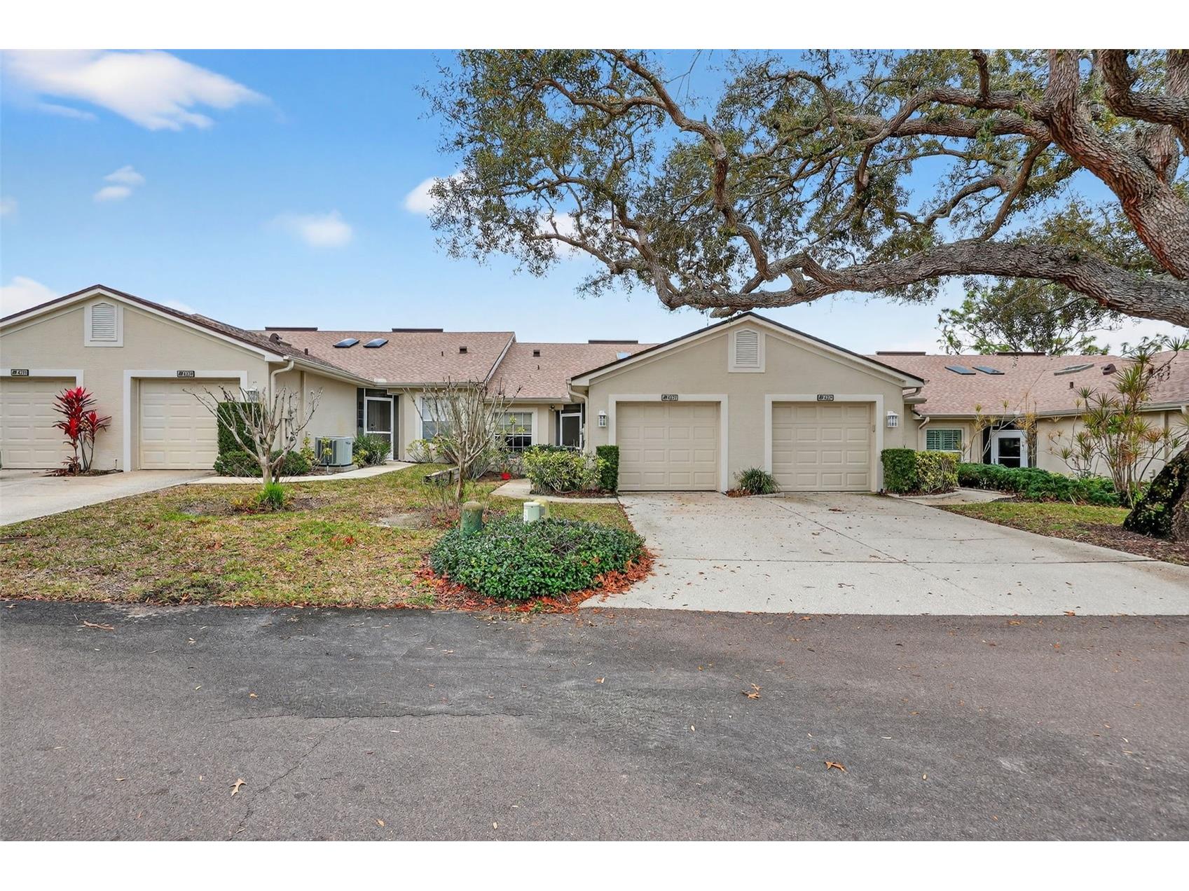 4207 Chesterfield Circle Palm Harbor FL 34683 TB8469846 image1
