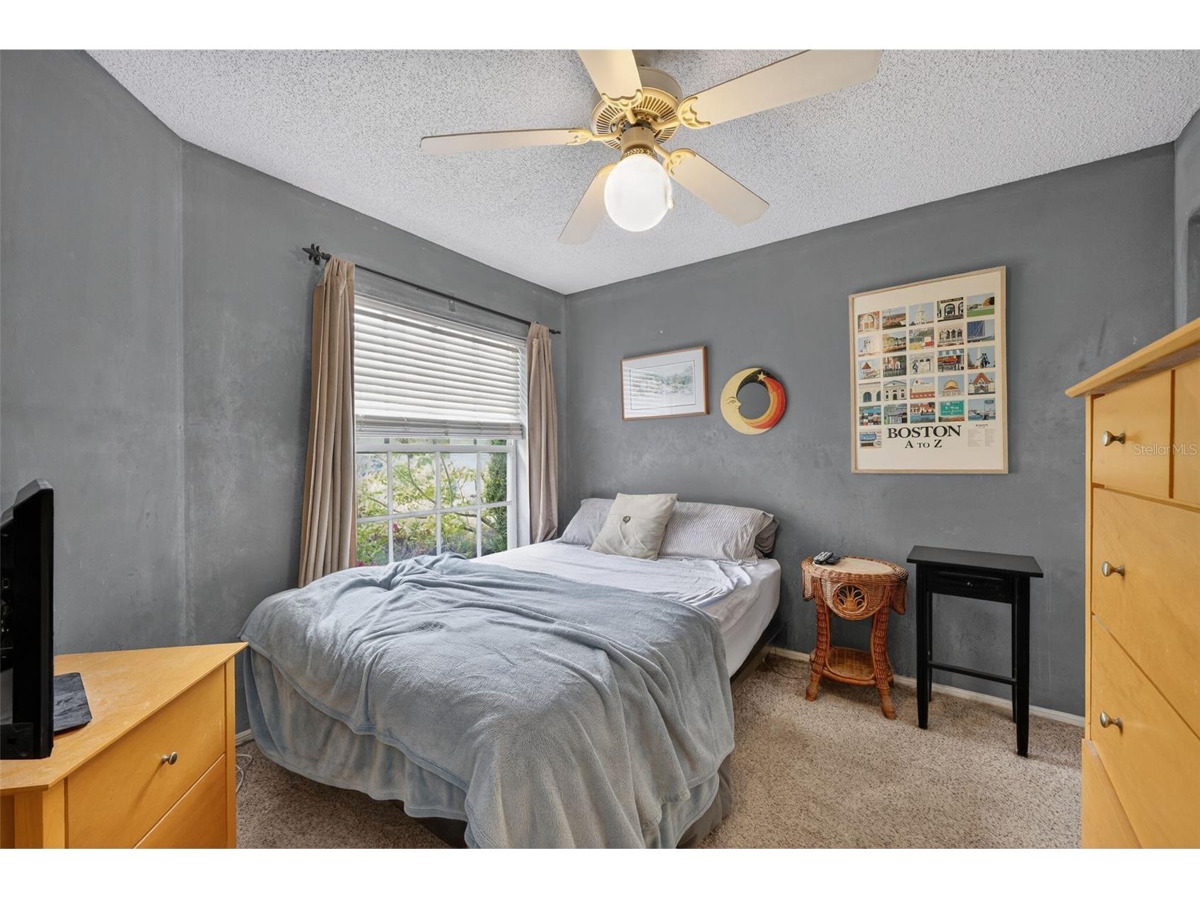 4207 Chesterfield Circle Palm Harbor FL 34683 TB8469846 image13