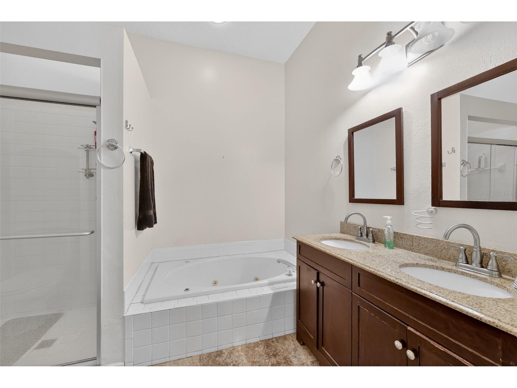 4207 Chesterfield Circle Palm Harbor FL 34683 TB8469846 image18