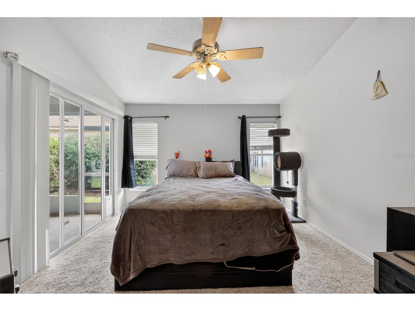 4207 Chesterfield Circle Palm Harbor FL 34683 TB8469846 image19