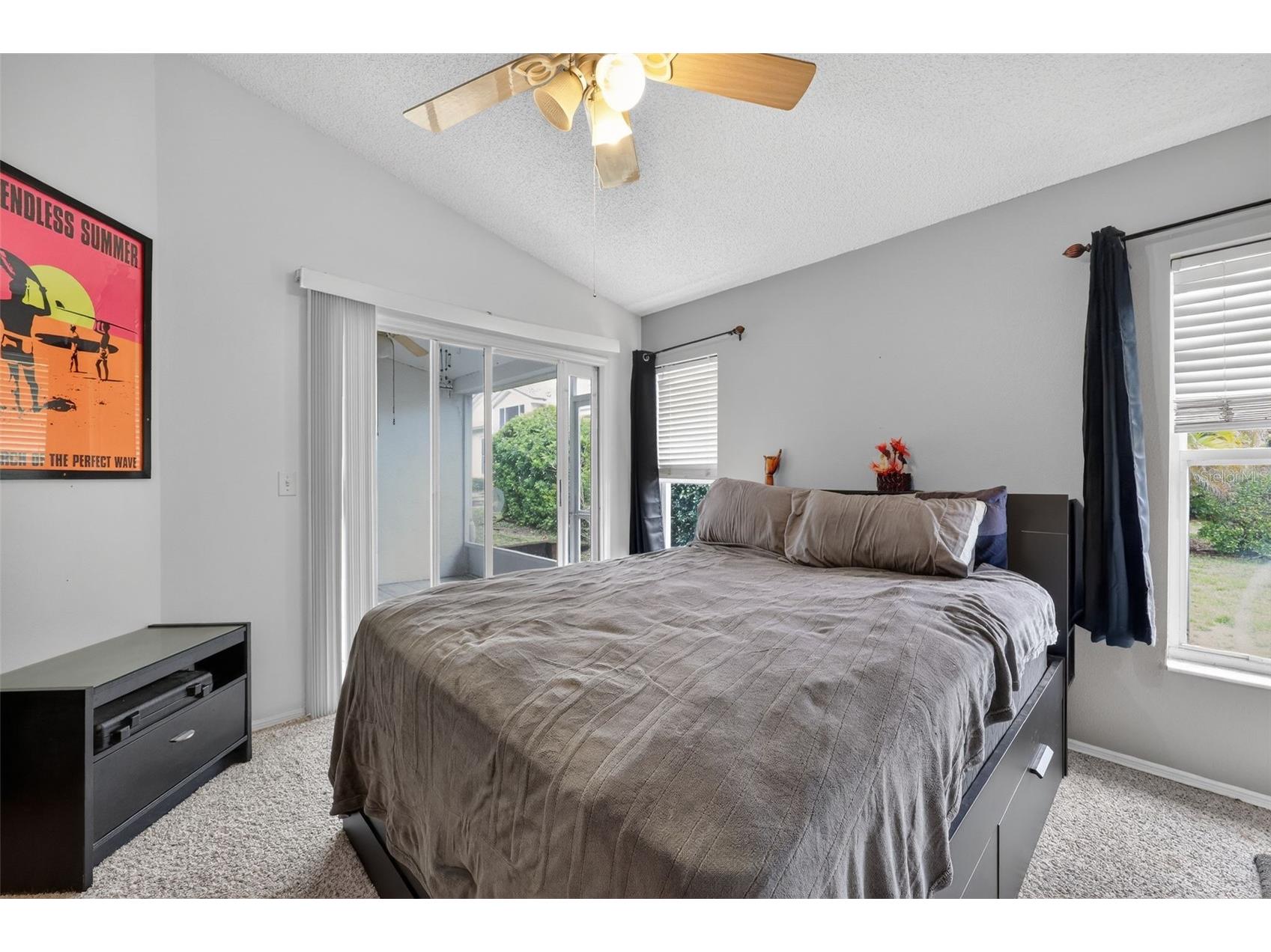 4207 Chesterfield Circle Palm Harbor FL 34683 TB8469846 image21