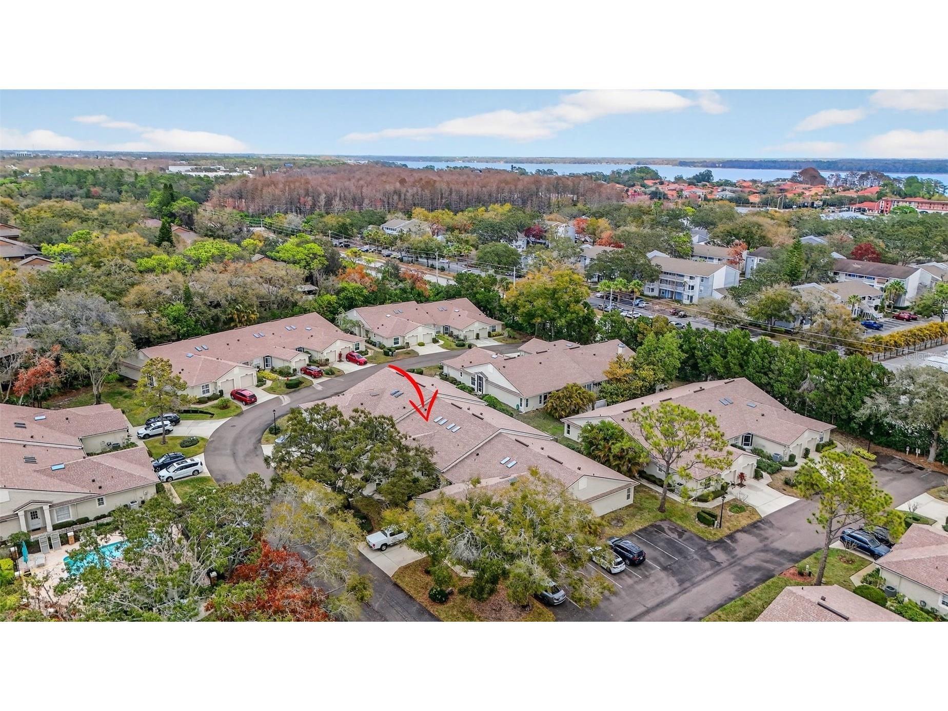 4207 Chesterfield Circle Palm Harbor FL 34683 TB8469846 image24