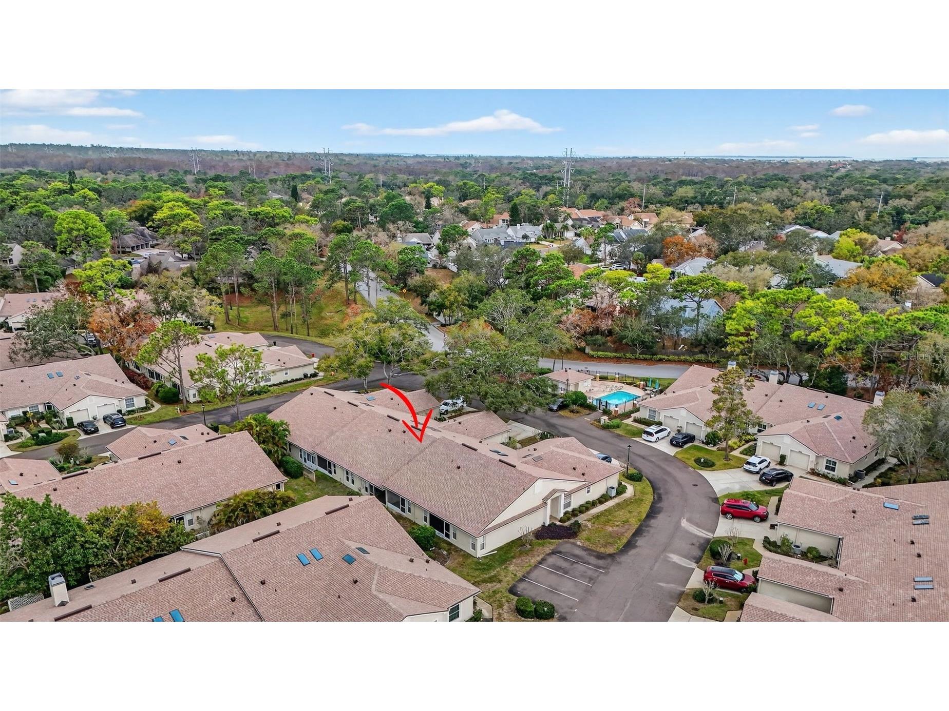 4207 Chesterfield Circle Palm Harbor FL 34683 TB8469846 image25