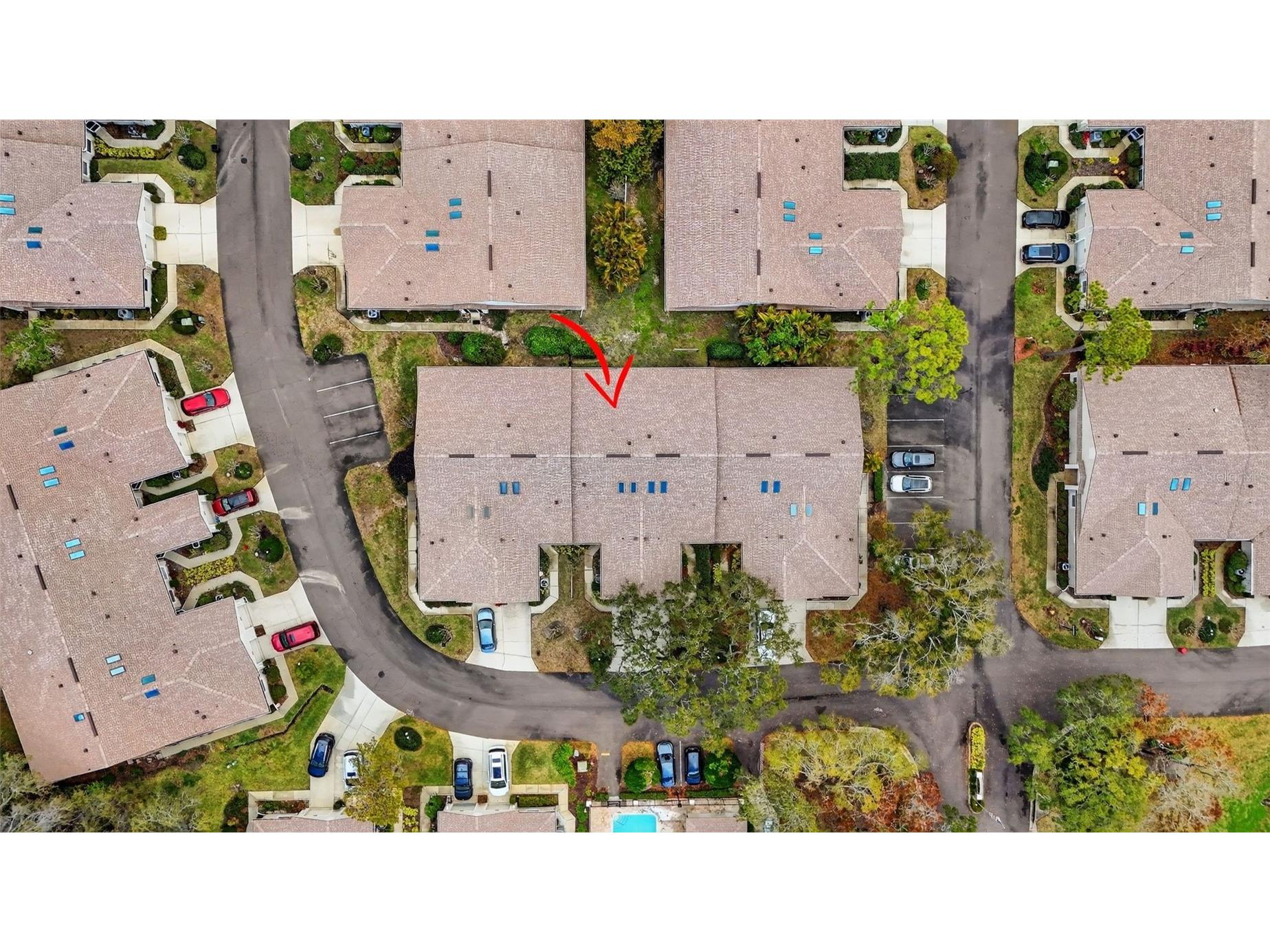 4207 Chesterfield Circle Palm Harbor FL 34683 TB8469846 image27