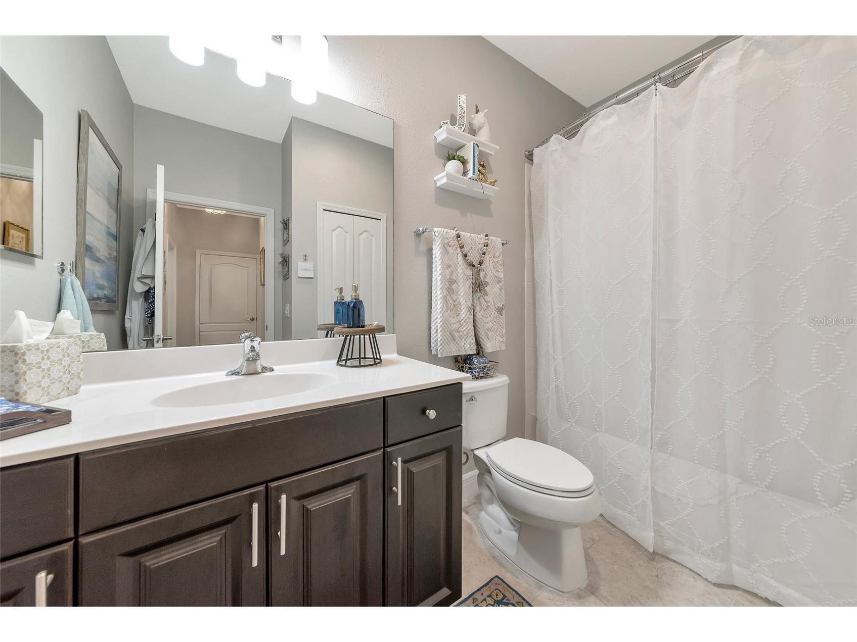 4207 Cottage Hill Avenue Parrish FL 34219 A4685296 image20